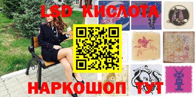 гидра Будённовск