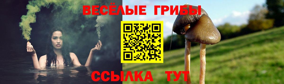 Фрязино  Галлюциногенные грибы мицелий  Вход с VPN 